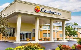 Comfort Inn Lima Oh